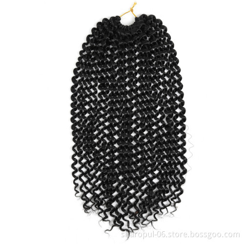 Passion twist freetress water wave crochet braids passion twist